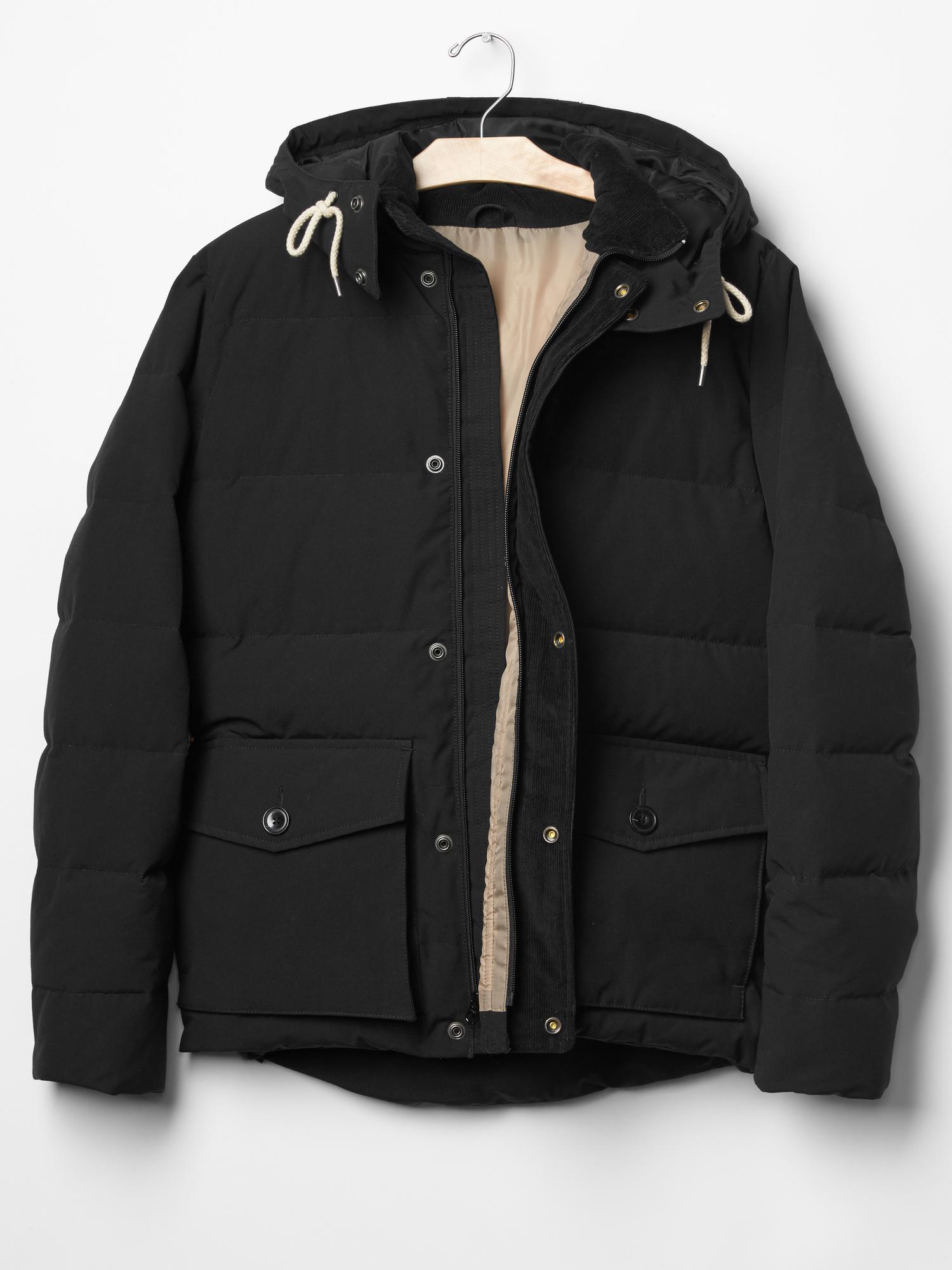 Gap primaloft sale