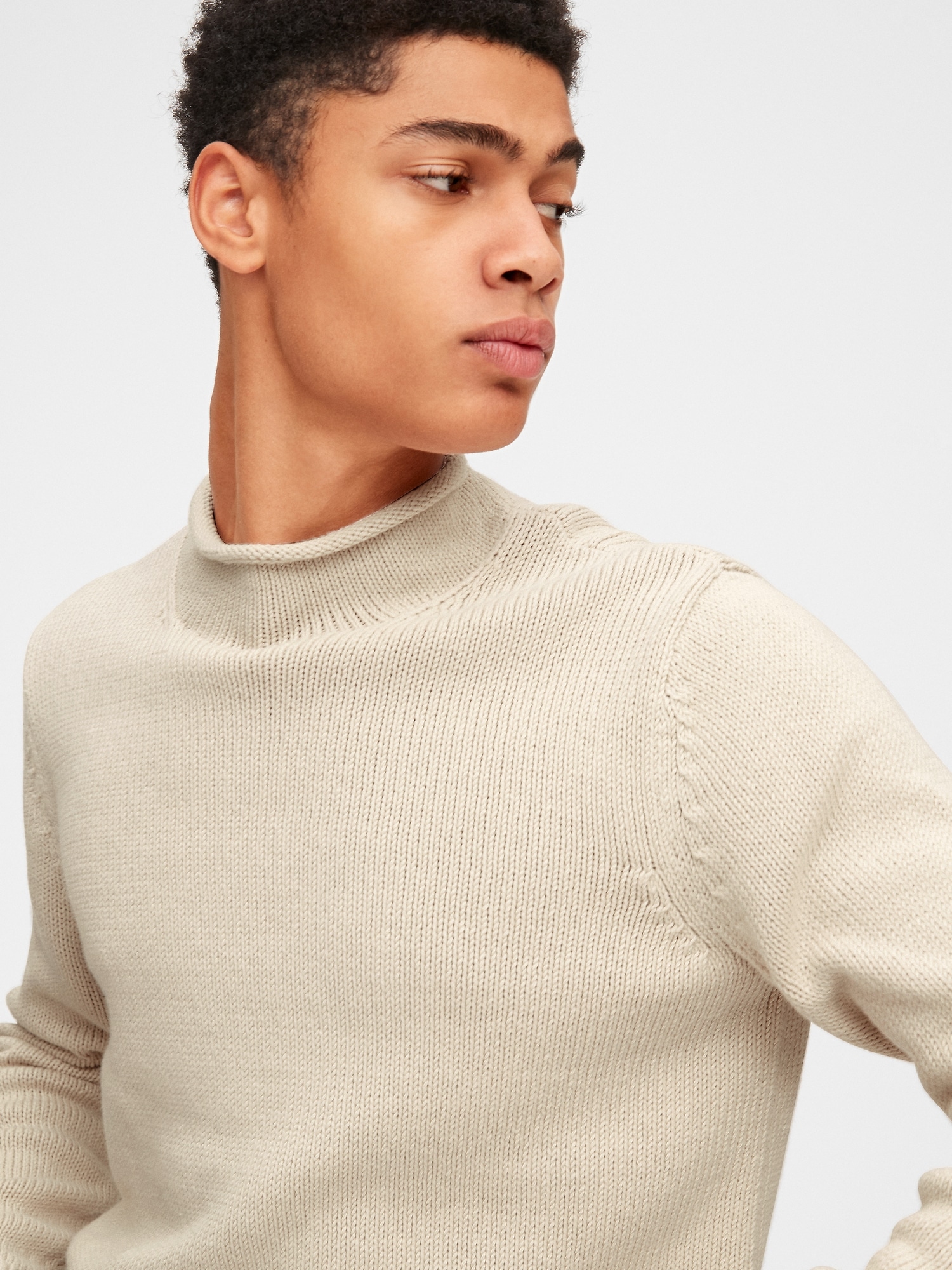 Fisherman Ribbed Roll Neck Pullover Sweater | Gap