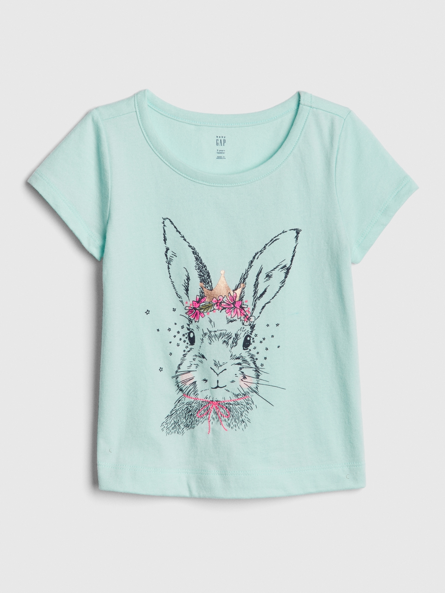 Toddler Graphic Short Sleeve T-Shirt