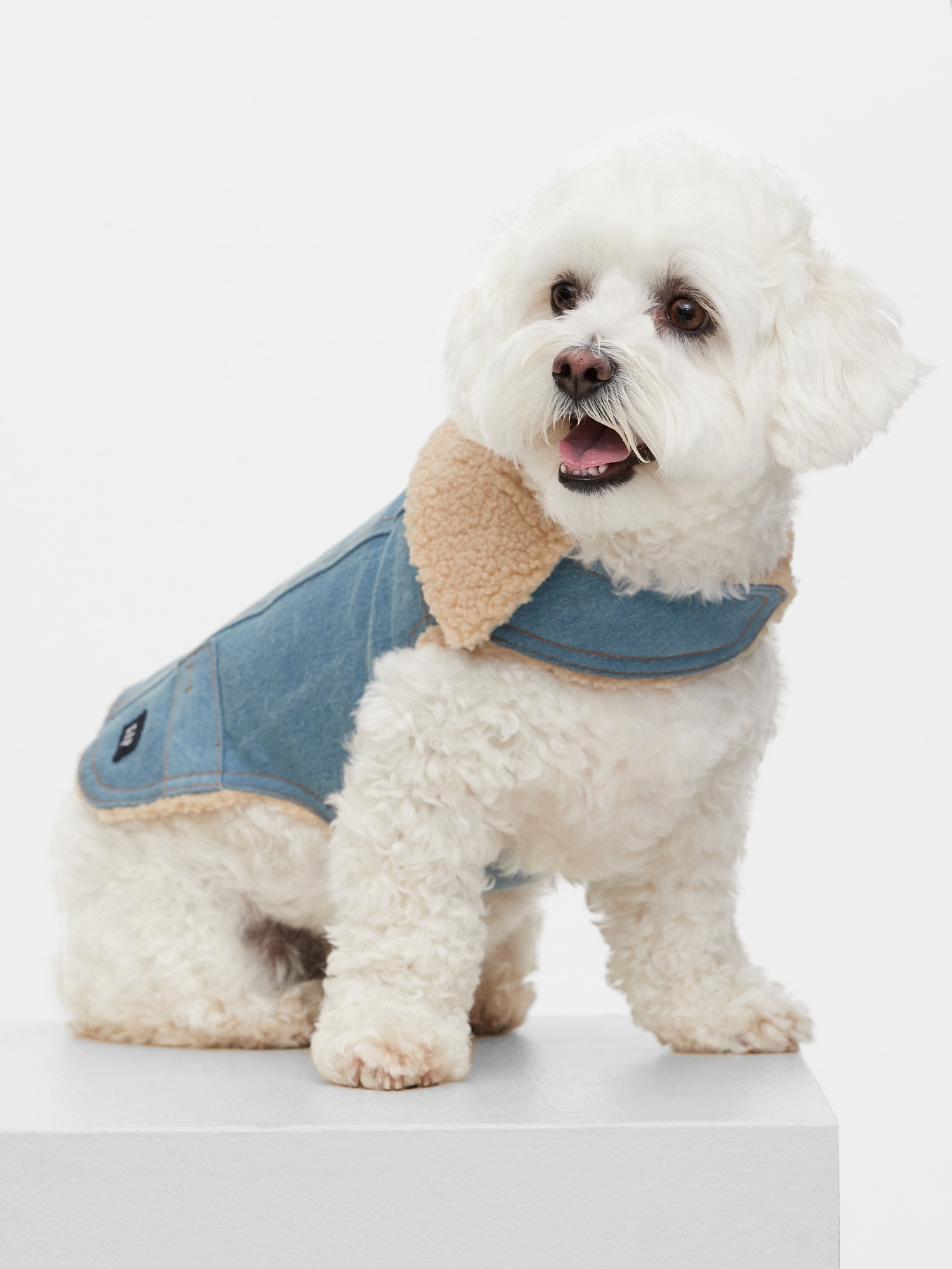 Gap Pet, Dog Clothes, Blue Denim Pet Jacket