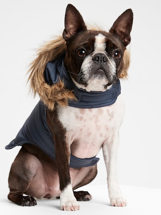 puffer coats for dogs