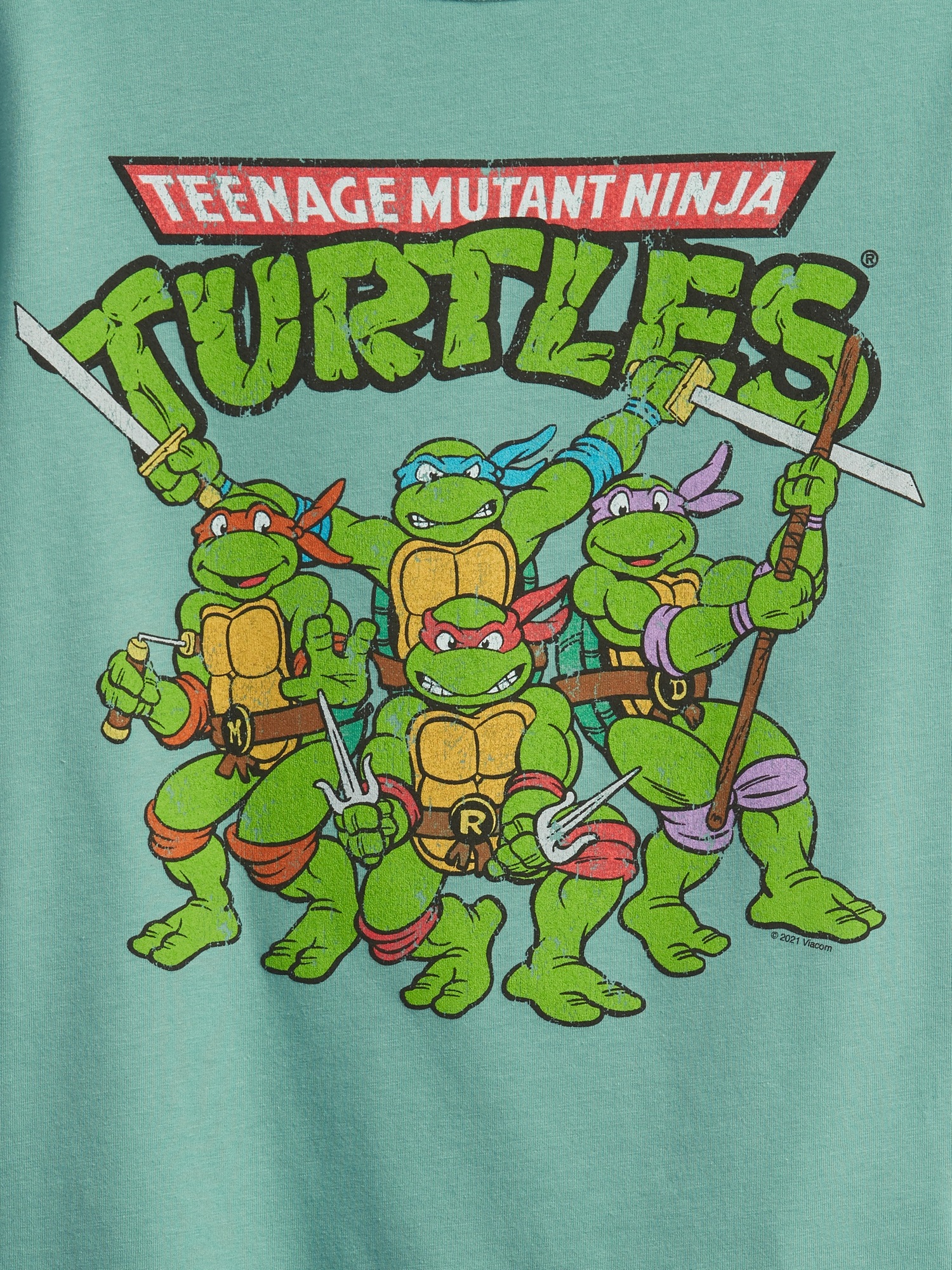 Boys' Teenage Mutant Ninja Turtles Long Sleeve Graphic T-Shirt - Mint Green  XS