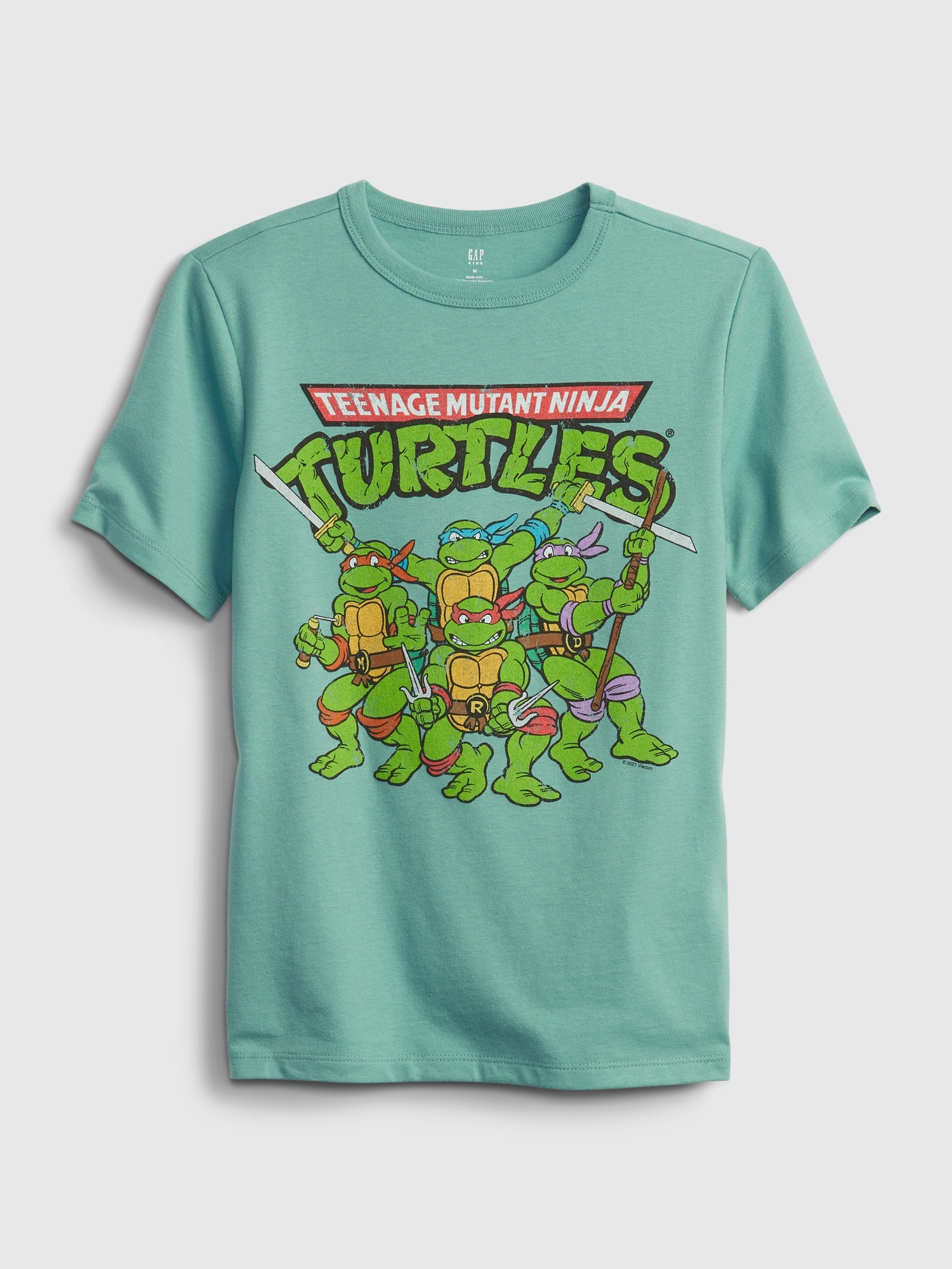 Boys' Teenage Mutant Ninja Turtles Long Sleeve Graphic T-Shirt - Mint Green  XS