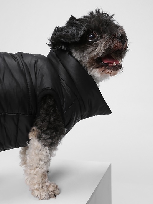 Image number 3 showing, Dog Puffer Vest