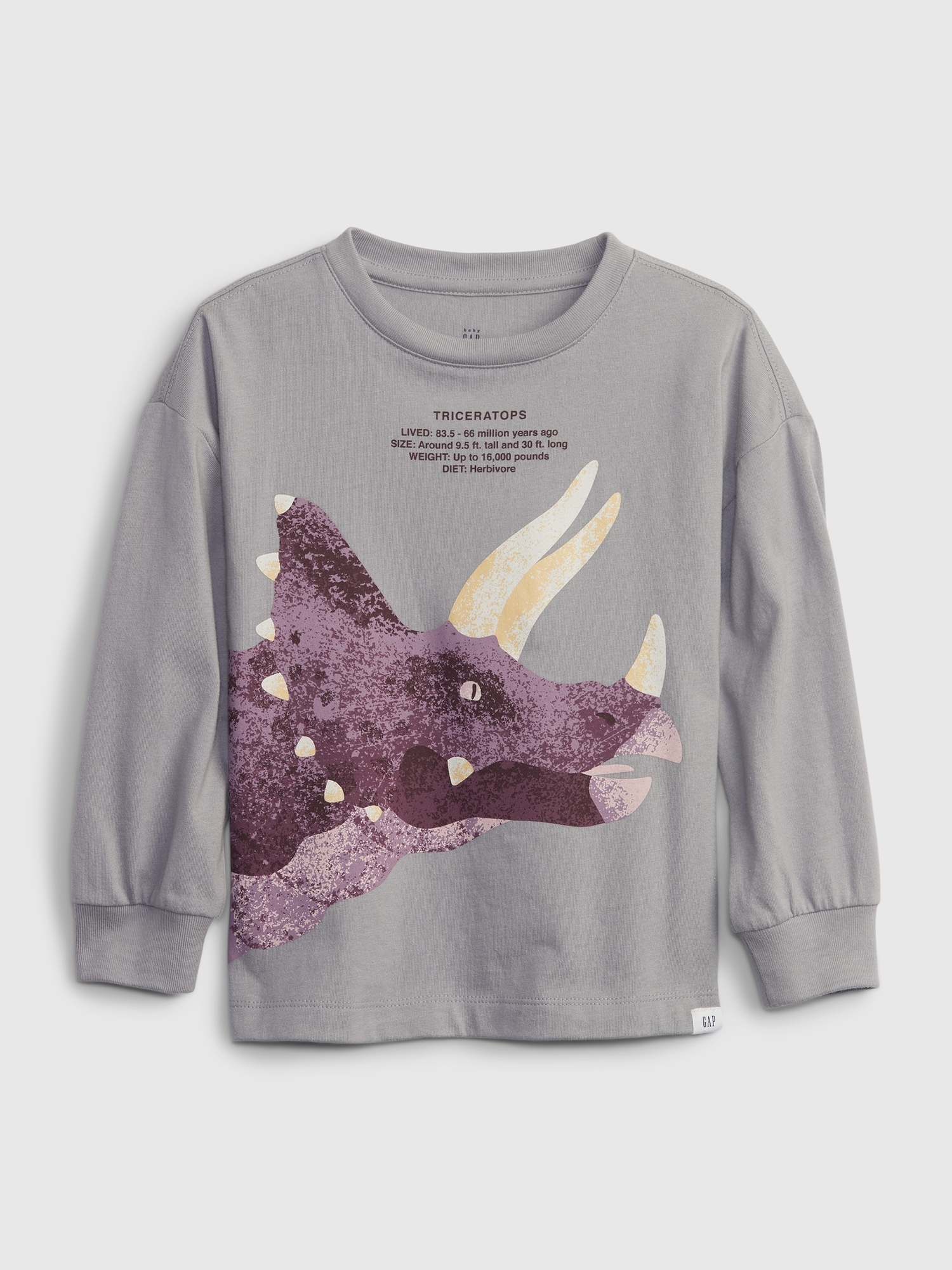 Gap Toddler Dinosaur Graphic T-Shirt