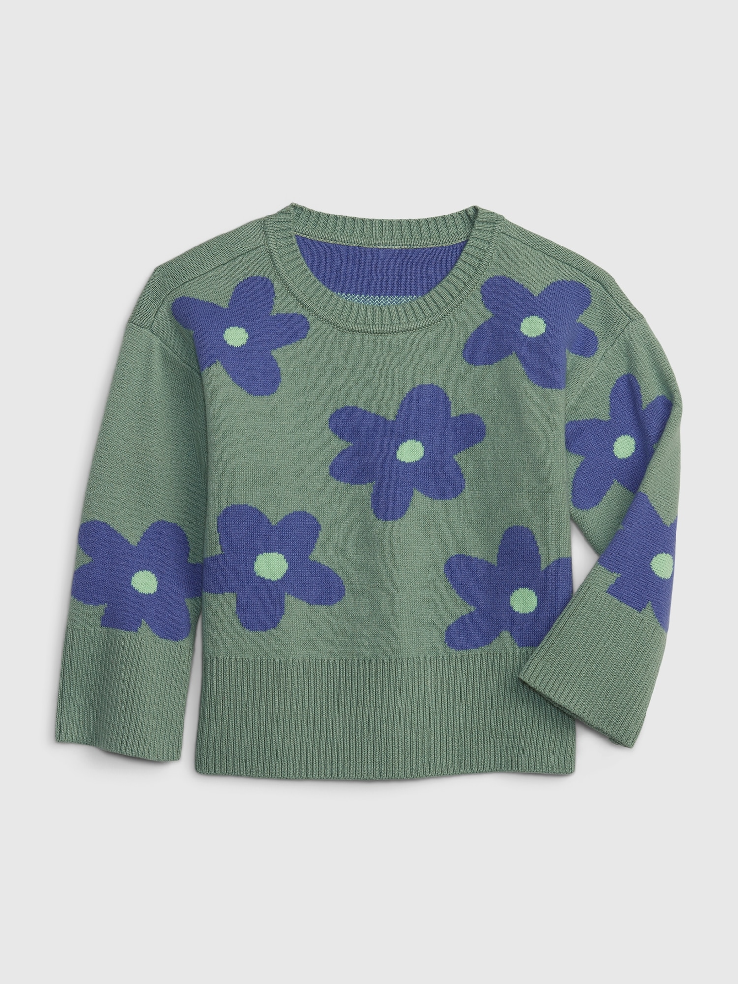 Gap hot sale toddler sweater