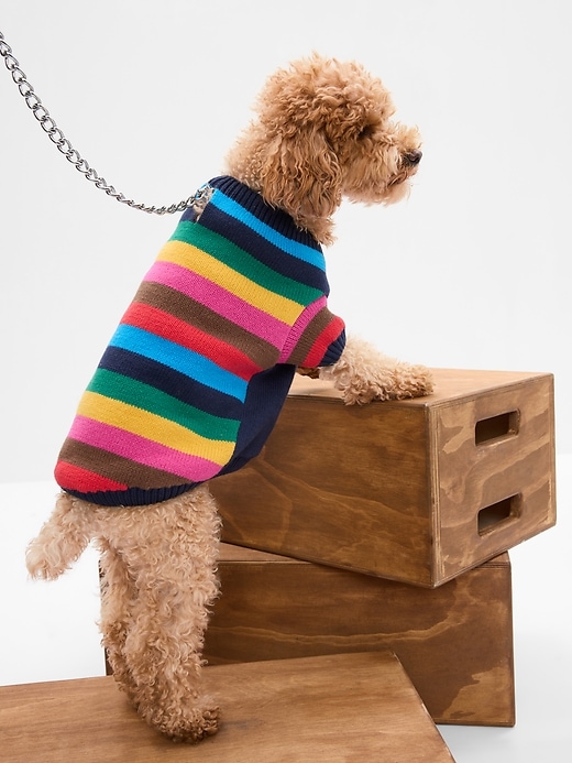 Image number 1 showing, Happy Stripe Dog Sweater