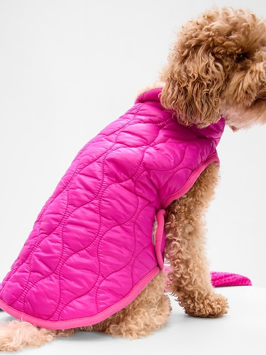 Gap best sale dog jacket