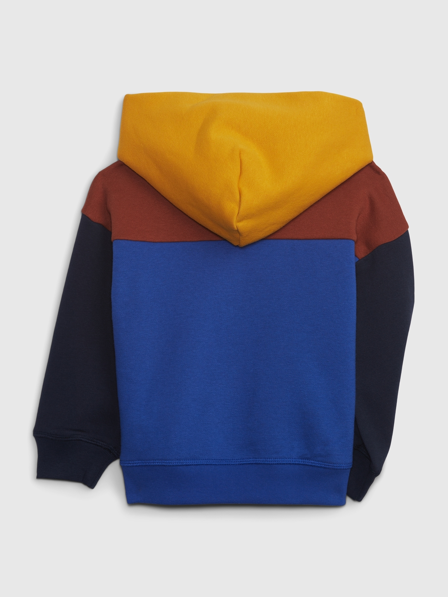 Color Block Logo Hoodie