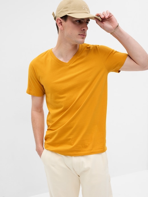 View large product image 1 of 1. Standard V-Neck T-Shirt