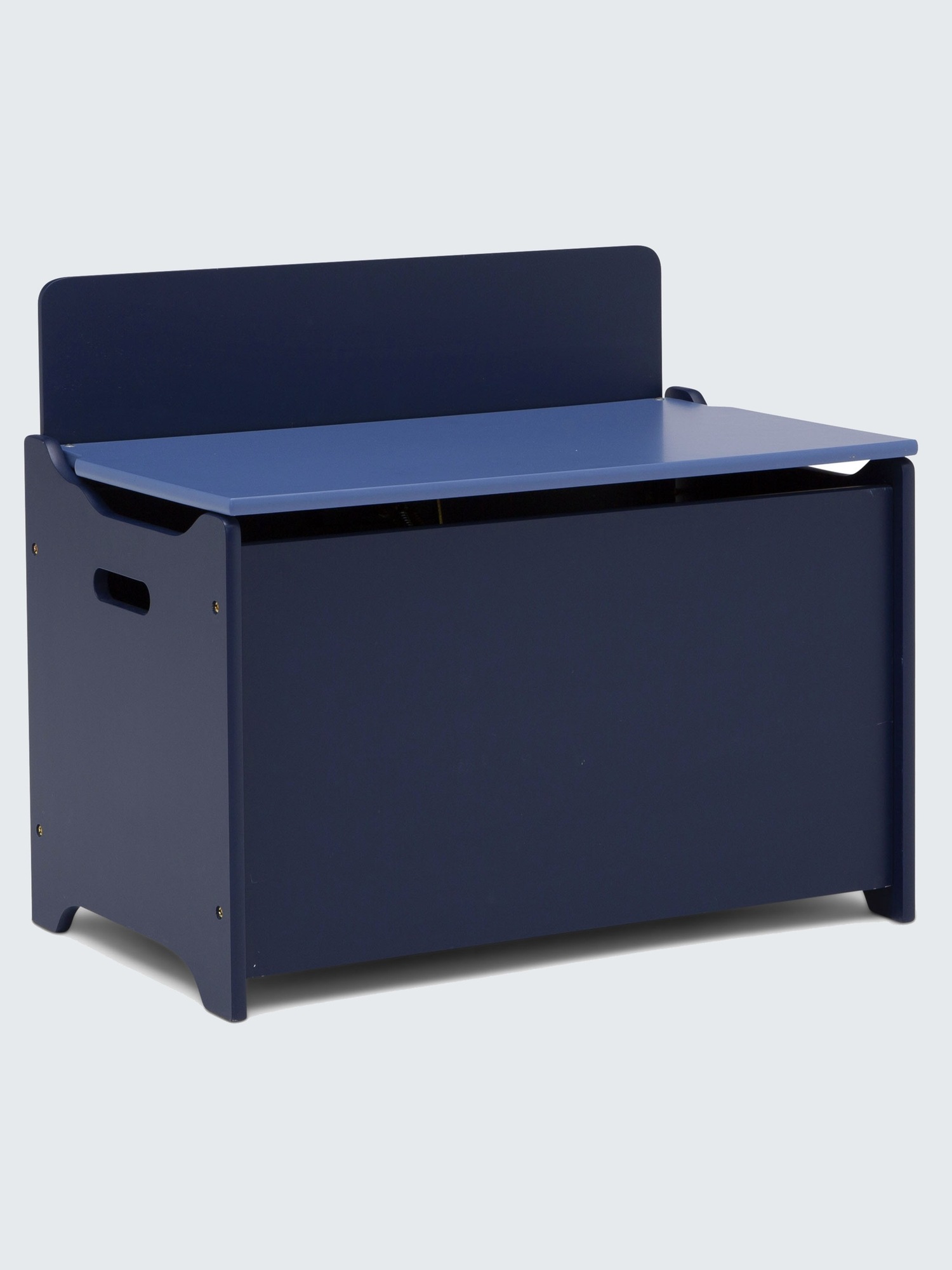 Blue Toy Boxes: Blue Storage Chests & Toyboxes