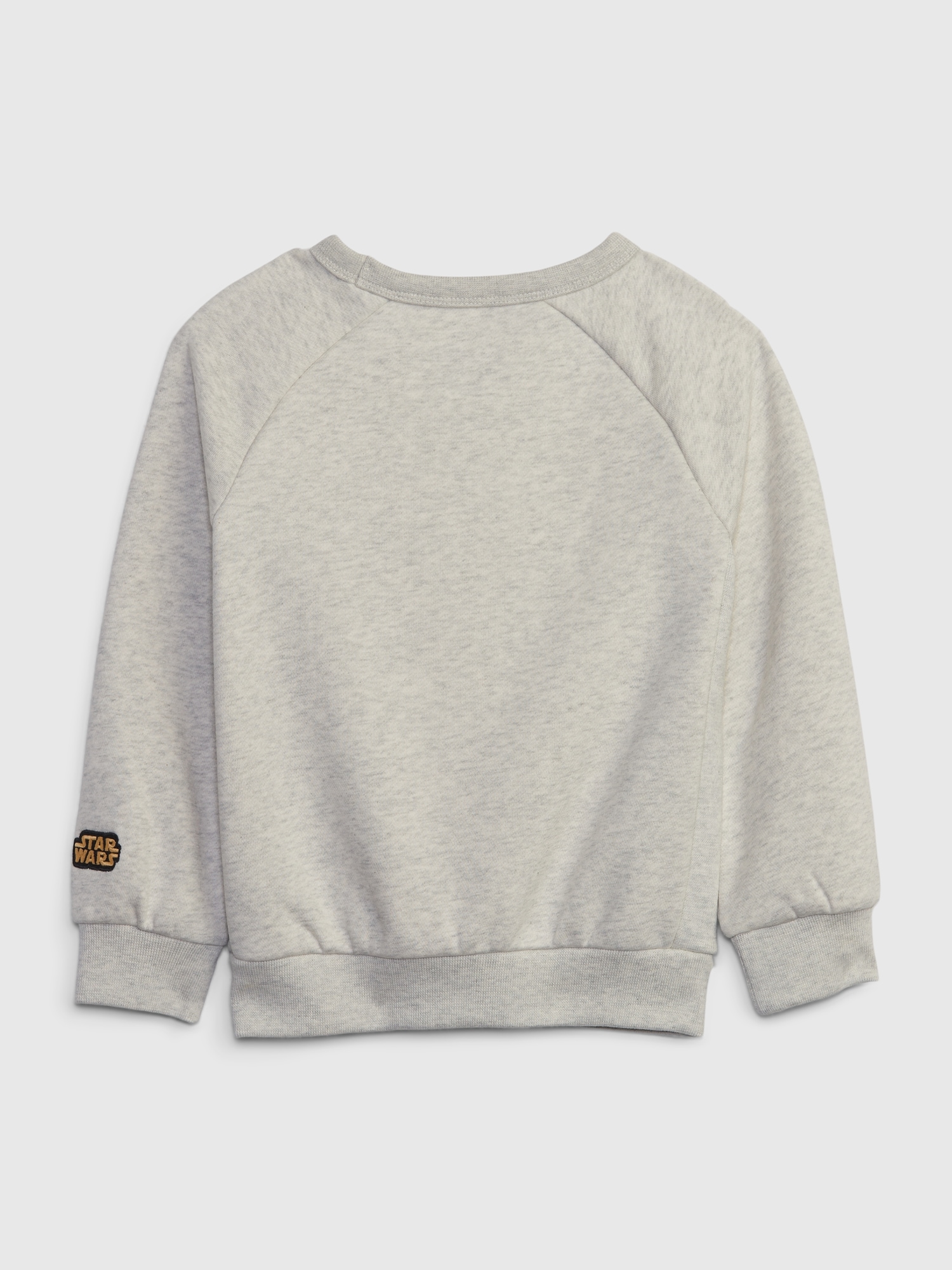 2t 2025 grey sweatshirt