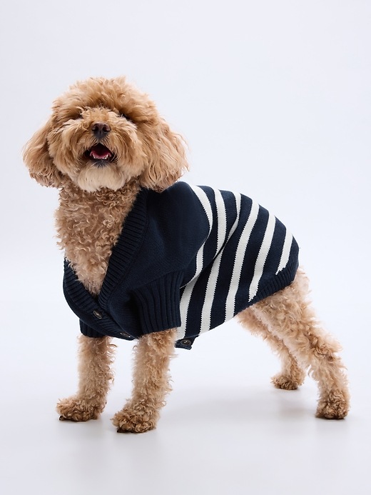 Image number 1 showing, Pet Organic Cotton Striped Sweater Vest