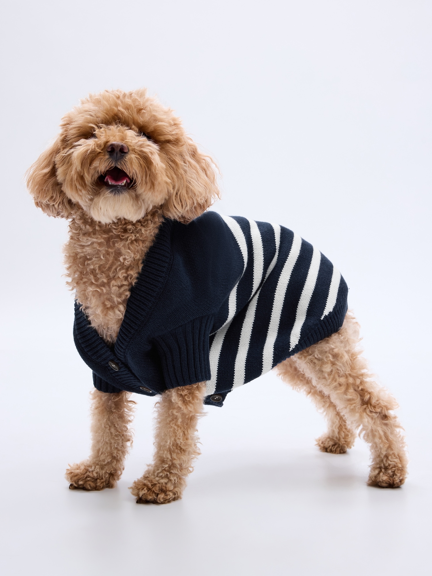 Pet Organic Cotton Striped Sweater Vest