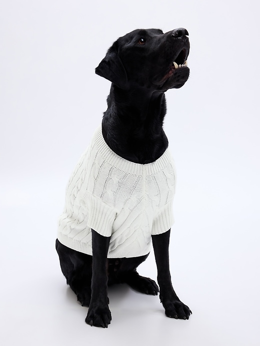 Image number 1 showing, Cable-Knit Dog Sweater