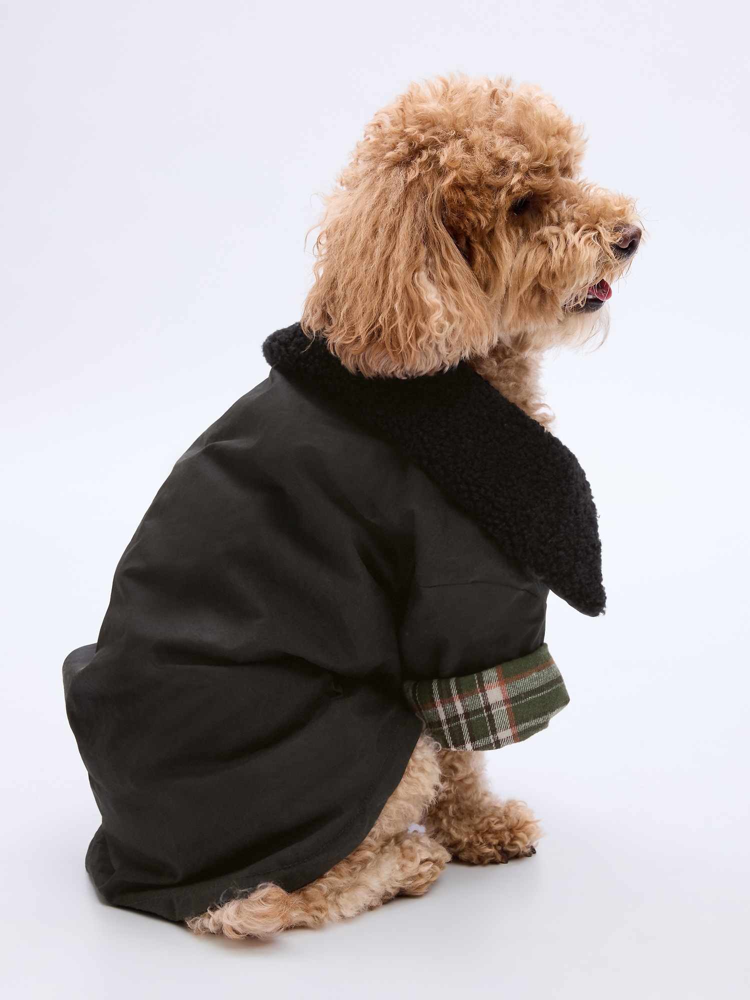 Gap best sale dog jacket