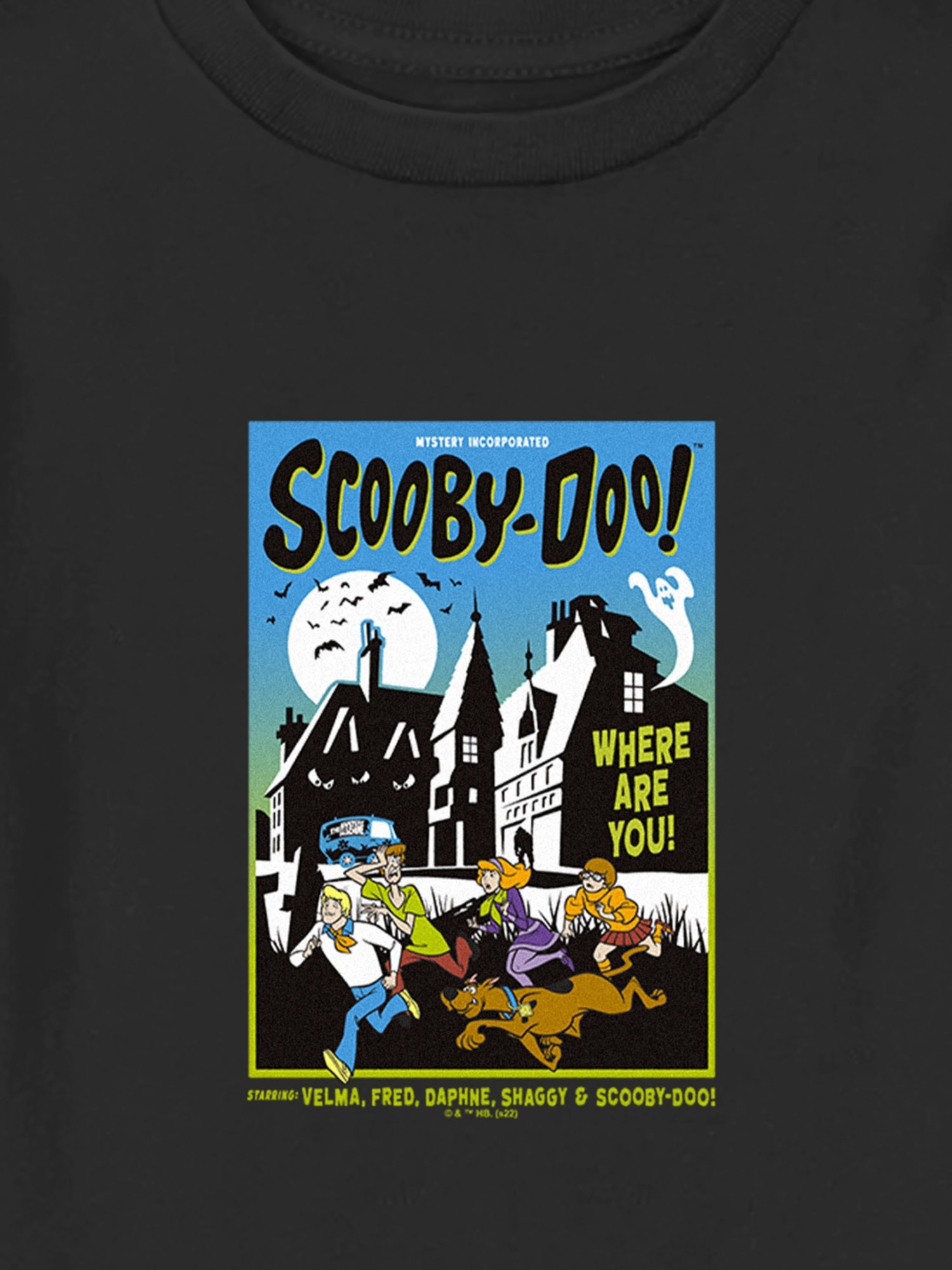 Scooby Doo and Shaggy Mystery Inc Men's Black Graphic Tee - S