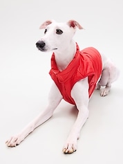 Gap Pet, Dog Clothes, Red Classic Pet Hoodie 