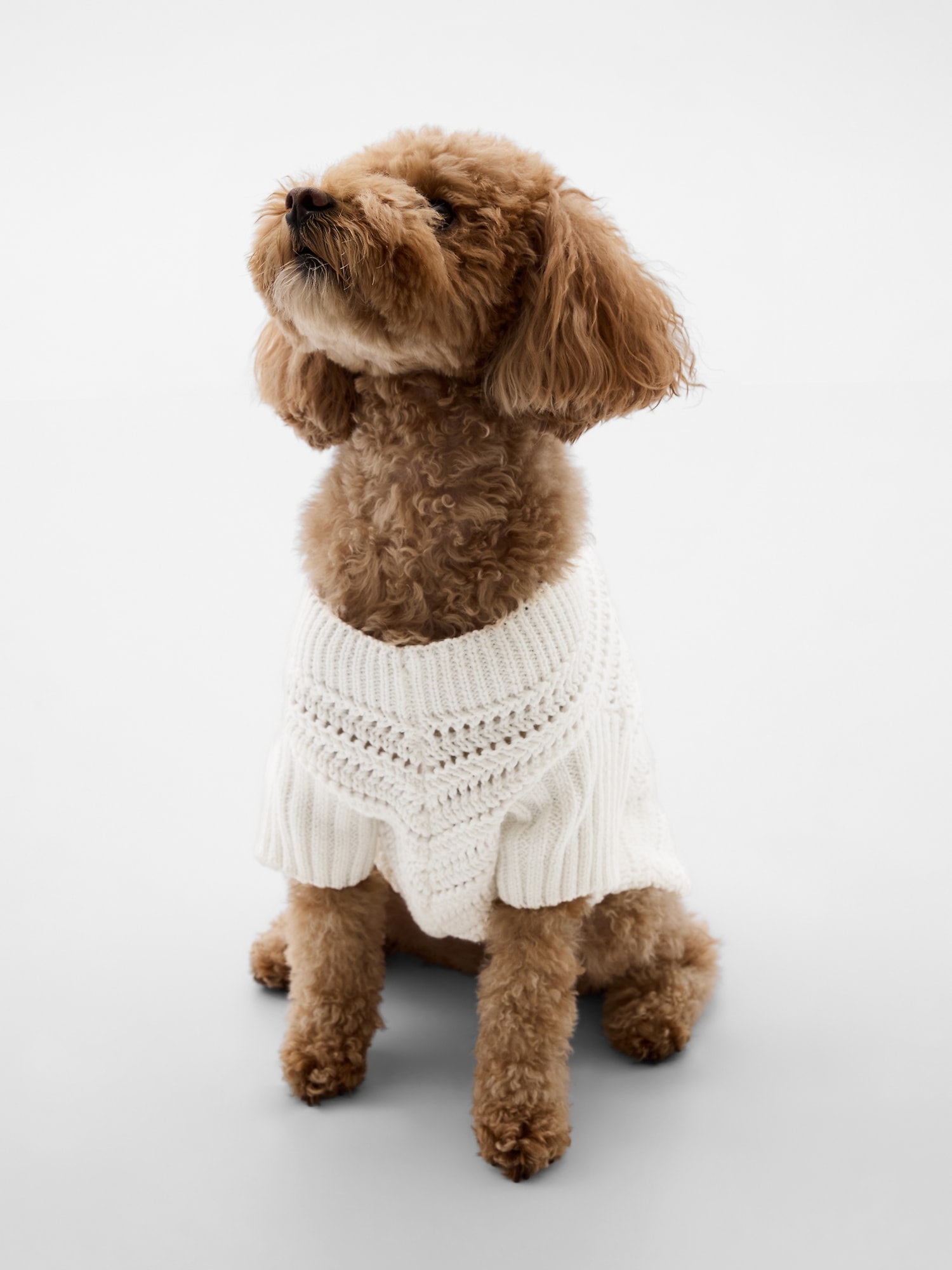 Gap Crochet Pet Sweater In Off White