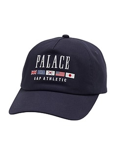 Palace Gap Flag 6 Panel