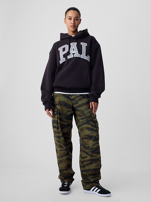 Palace Gap Cargo