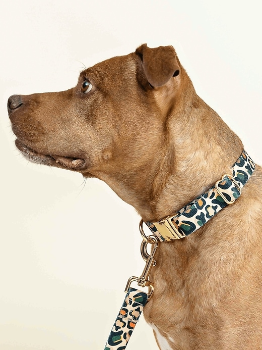 Image number 3 showing, Printed Fabric Dog Collar