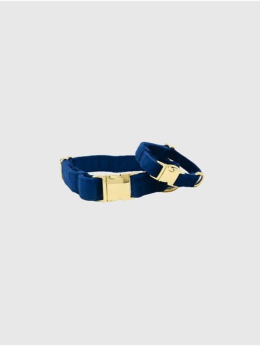 Image number 2 showing, Velvet Dog Collar