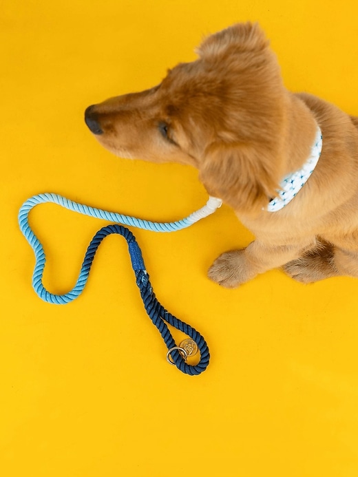 Image number 4 showing, Rope Organic Cotton Ombre Dog Leash