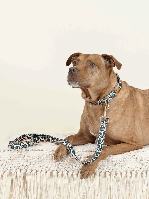 Image number 4 showing, Printed Fabric Dog Leash