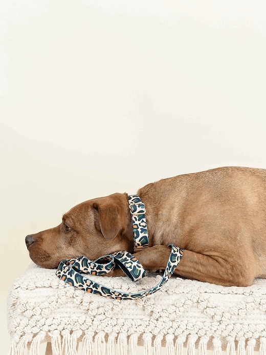 Image number 6 showing, Printed Fabric Dog Leash