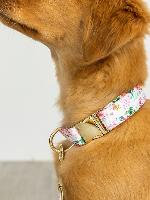 Image number 4 showing, Printed Fabric Dog Collar