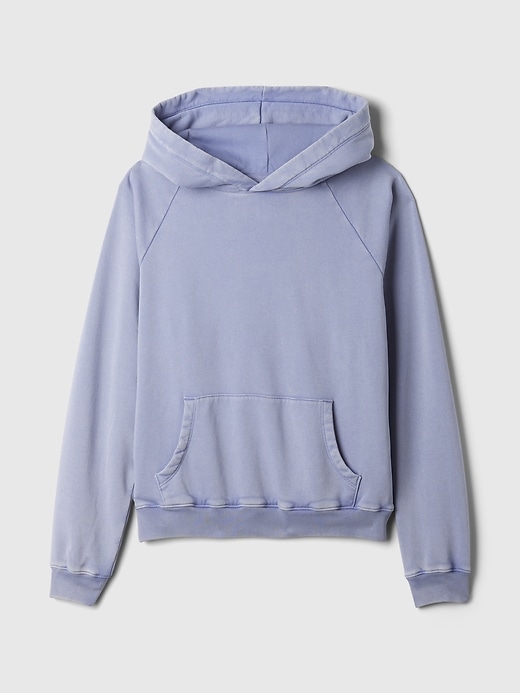 Image number 4 showing, VintageSoft Hoodie