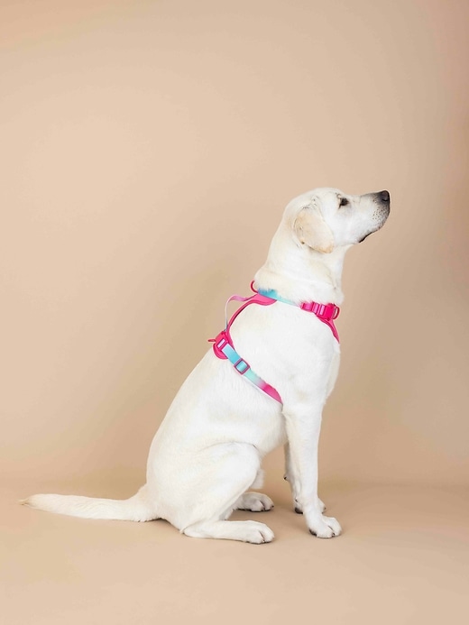 Image number 4 showing, Ultra Comfort Neoprene Dog Harness