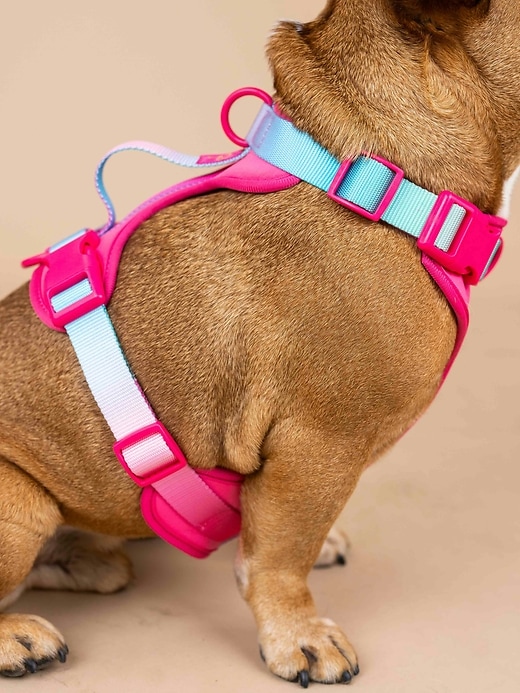 Image number 6 showing, Ultra Comfort Neoprene Dog Harness