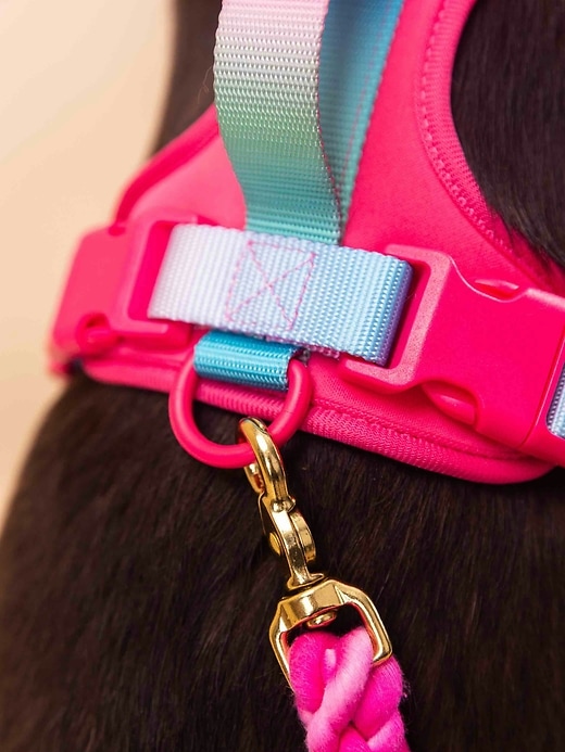 Image number 7 showing, Ultra Comfort Neoprene Dog Harness