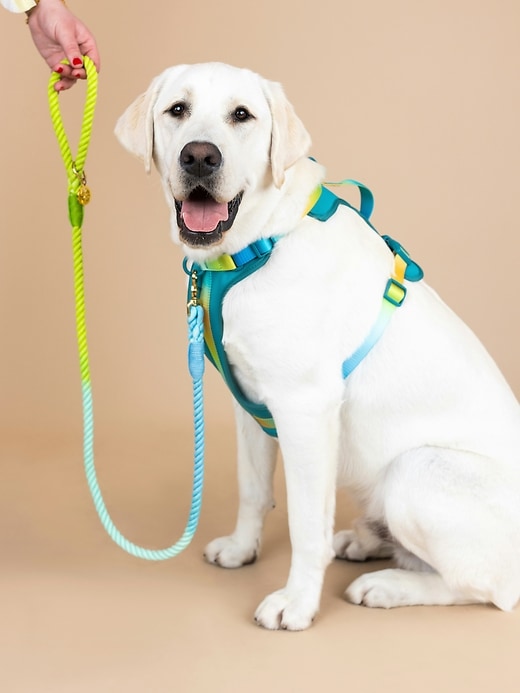 Image number 6 showing, Ultra Comfort Neoprene Dog Harness