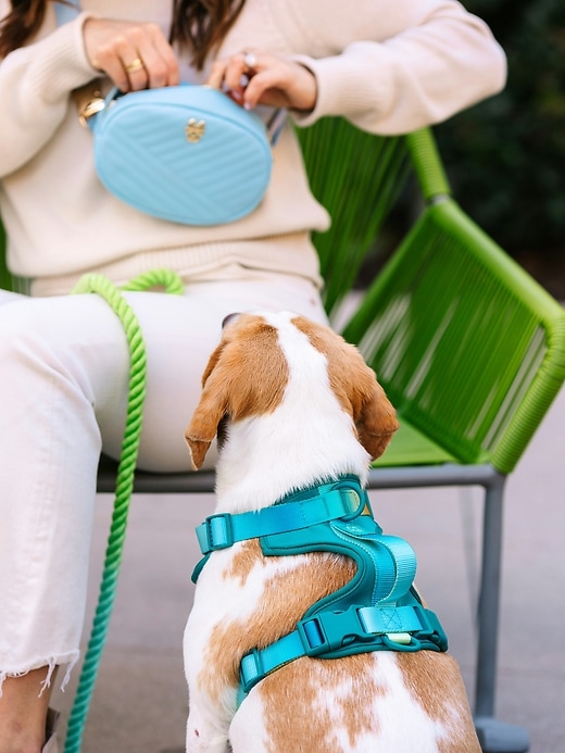 Image number 3 showing, Ultra Comfort Neoprene Dog Harness