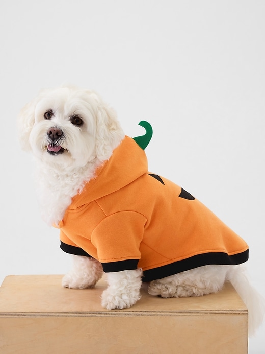 Image number 2 showing, Pet Halloween Costume