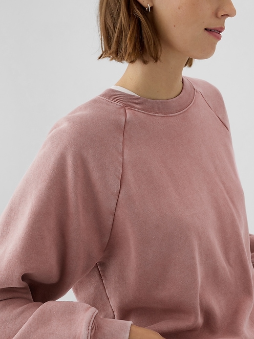 Image number 4 showing, Vintage Soft Raglan Sweatshirt