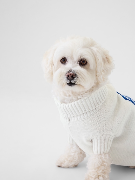 Image number 2 showing, Pet Varsity Sweater