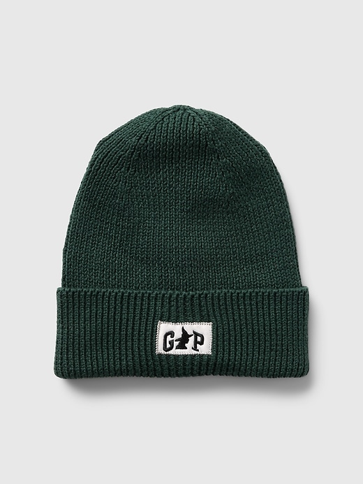 Image number 1 showing, Kids Wicked Beanie