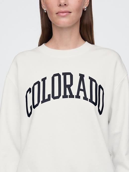 Image number 3 showing, Vintage Soft State Logo Sweatshirt