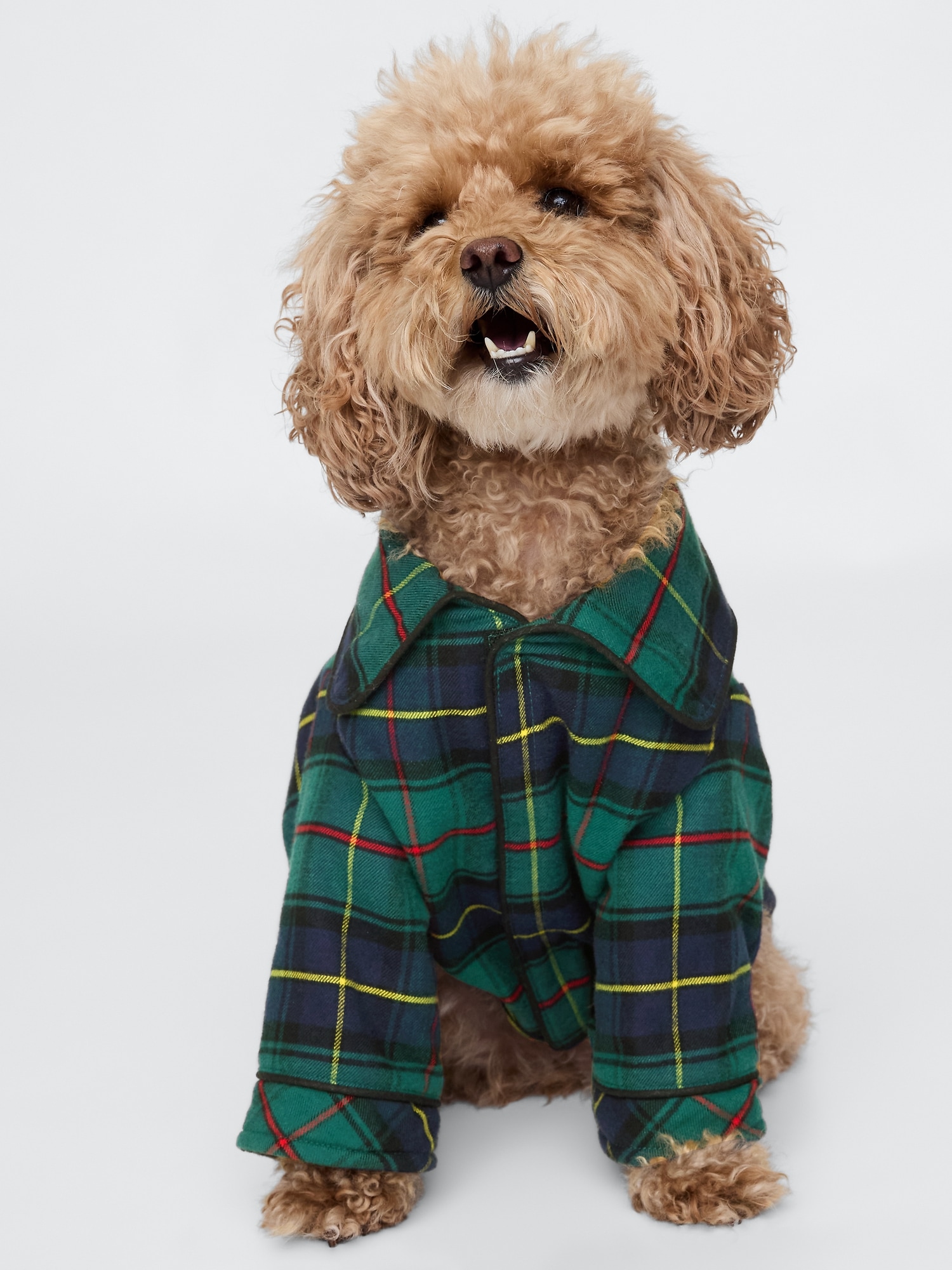 Gap dog pajamas sale