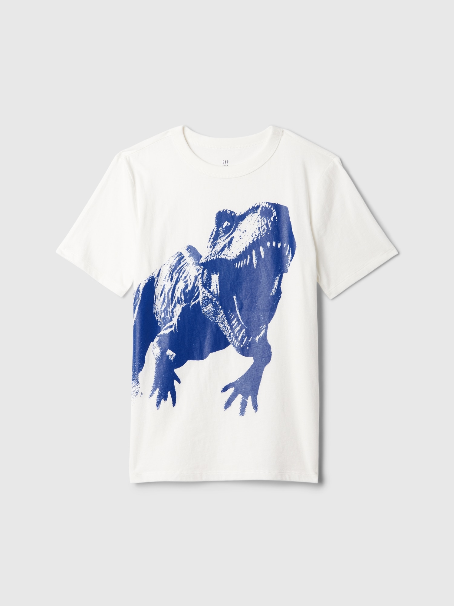 Kids Graphic T-Shirt