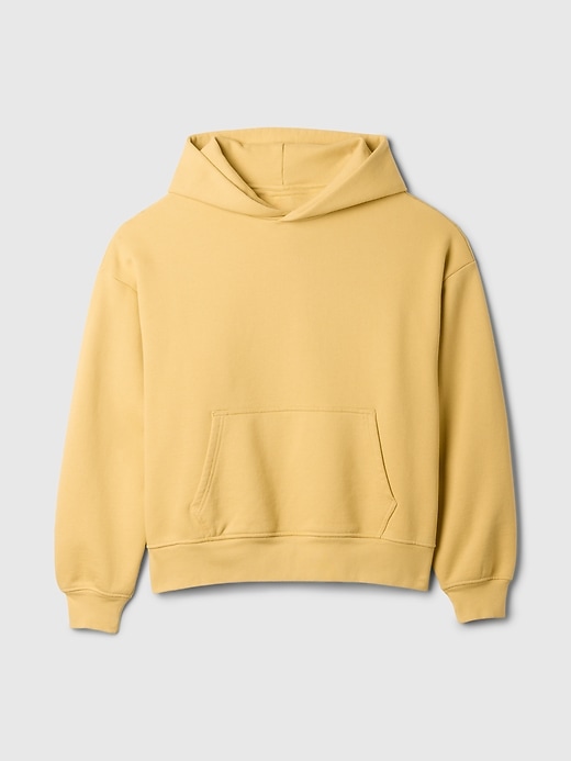 Image number 5 showing, The Extra Heavyweight Hoodie That Hoodies