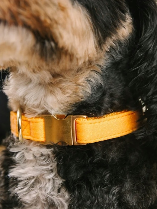 Image number 4 showing, Glitter Dog Collar