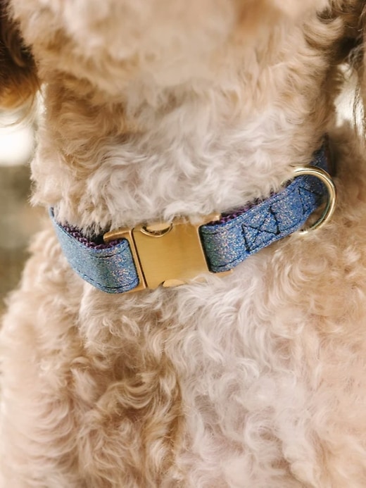 Image number 4 showing, Glitter Dog Collar