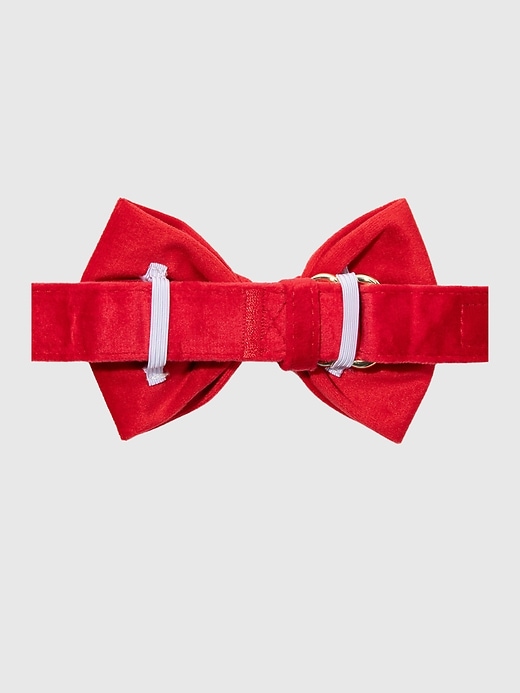 Image number 2 showing, Velvet Dog Bow Tie