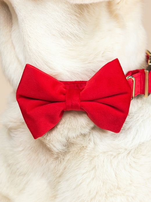 Image number 4 showing, Velvet Dog Bow Tie