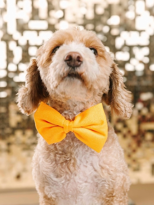 Image number 3 showing, Glitter Dog Bow Tie